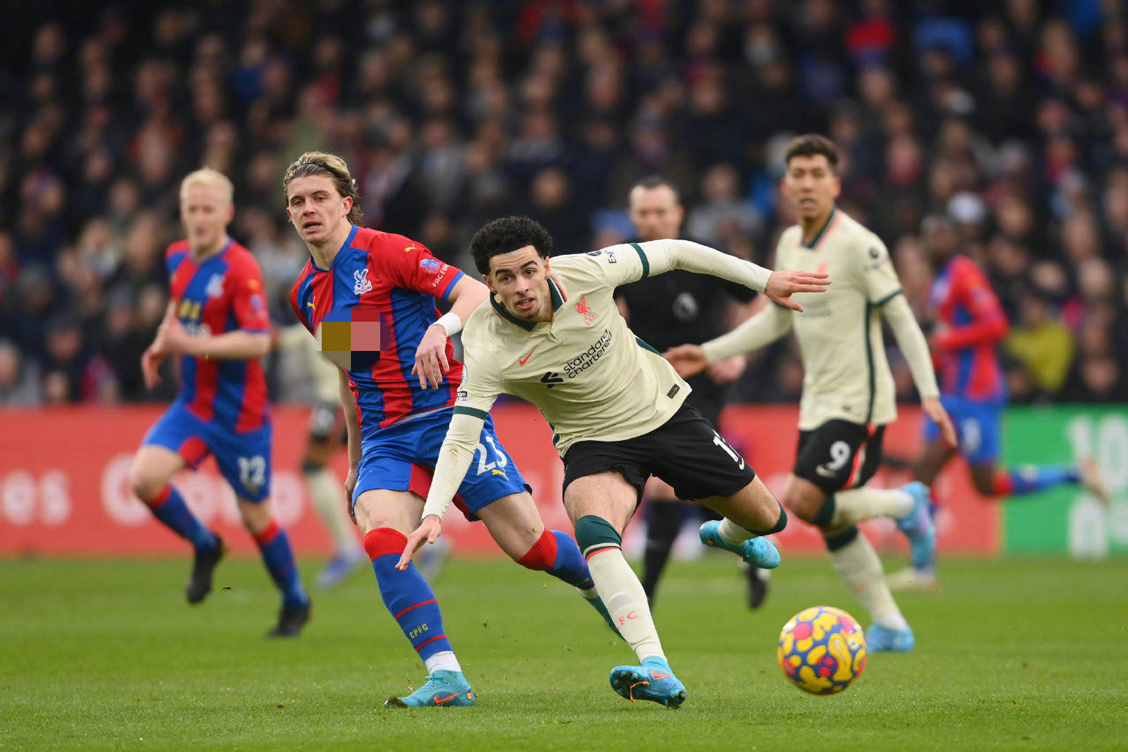 来更大的关 来更大的关